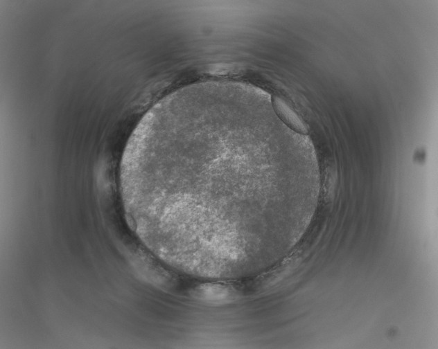 X0000116780272201001281700