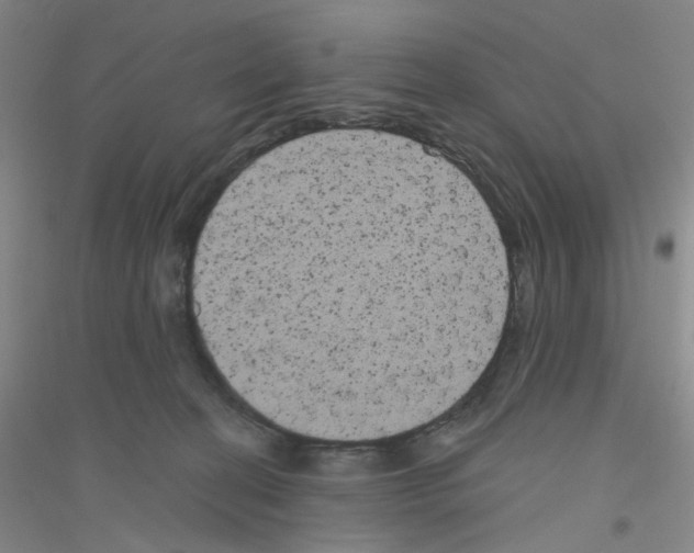 X0000116780274201001281700