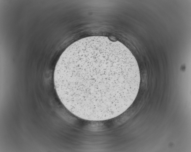 X0000116780278201001281700