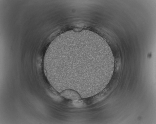 X0000116780279201001281700