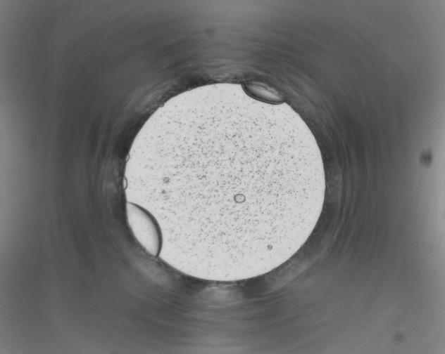 X0000116780280201001281700