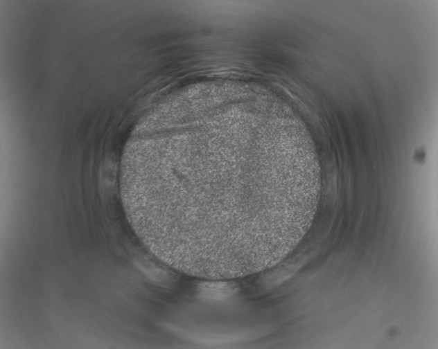 X0000116780281201001281700