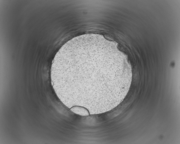 X0000116780282201001281700