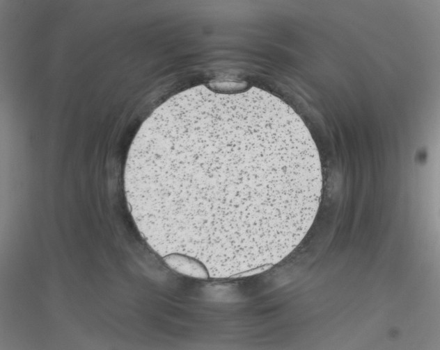 X0000116780283201001281700