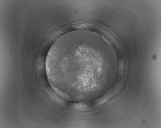 X0000116780284201001281700