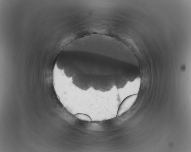 X0000116780285201001281700