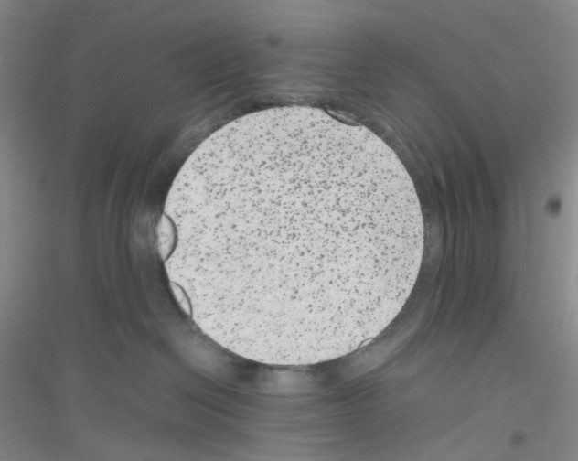 X0000116780286201001281700