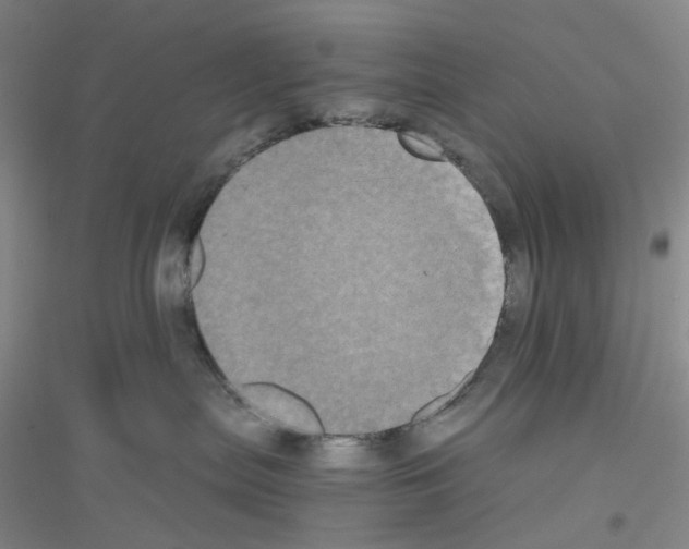 X0000116780287201001281700