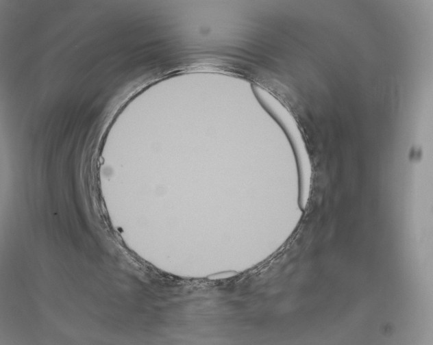 X0000116780289201001281700