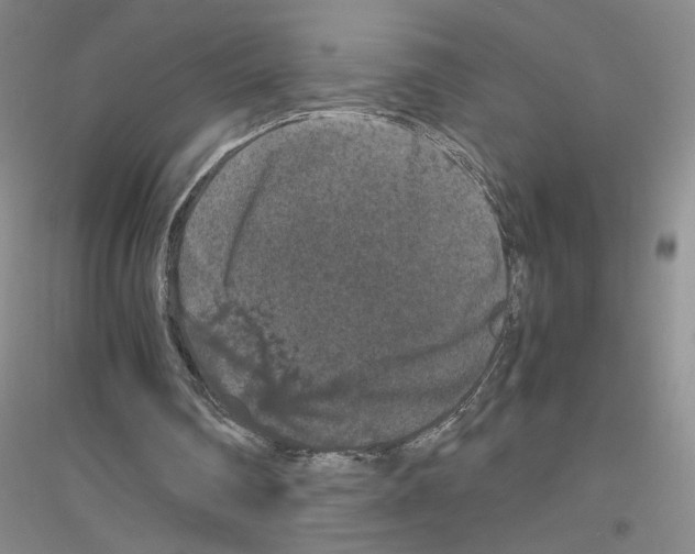 X0000116780290201001281700