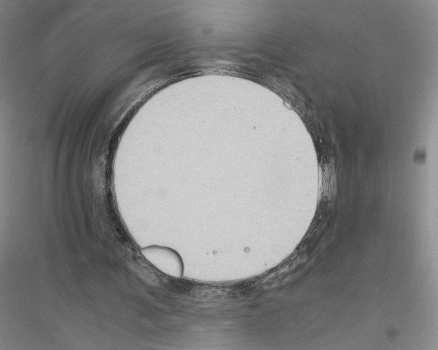 X0000116780291201001281700