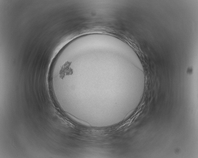 X0000116780292201001281700