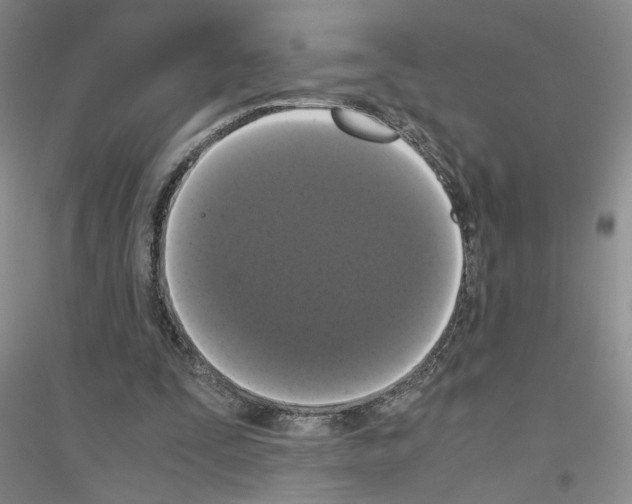 X0000116780295201001281700