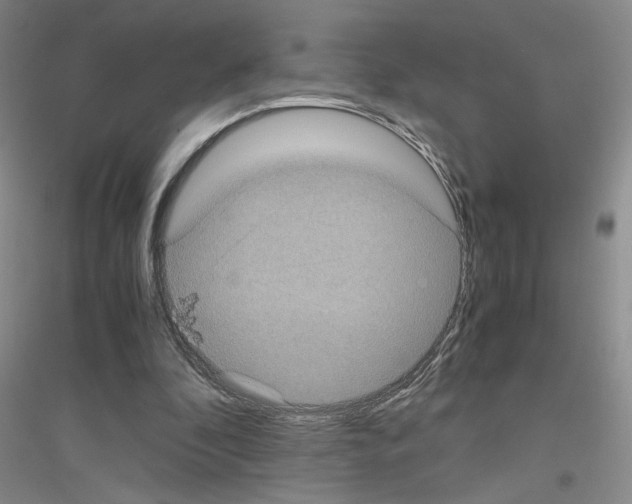 X0000116780296201001281700