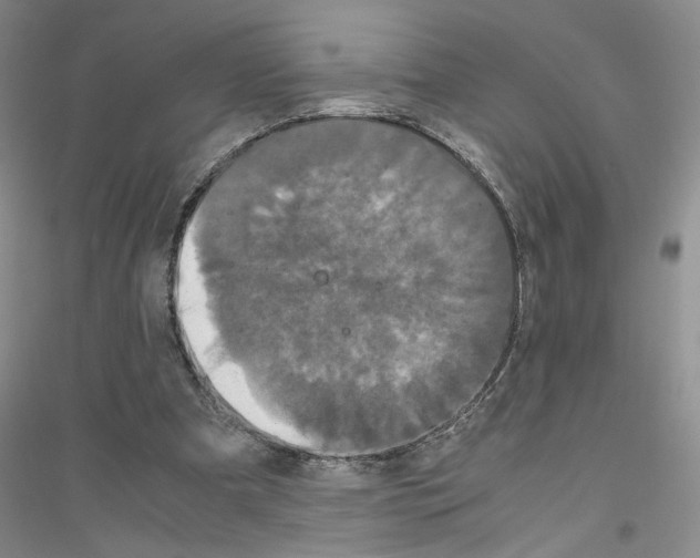 X0000116780297201001281700