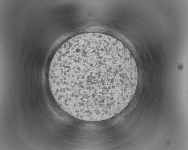 X0000116780298201001281700