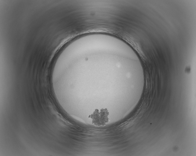 X0000116780300201001281700