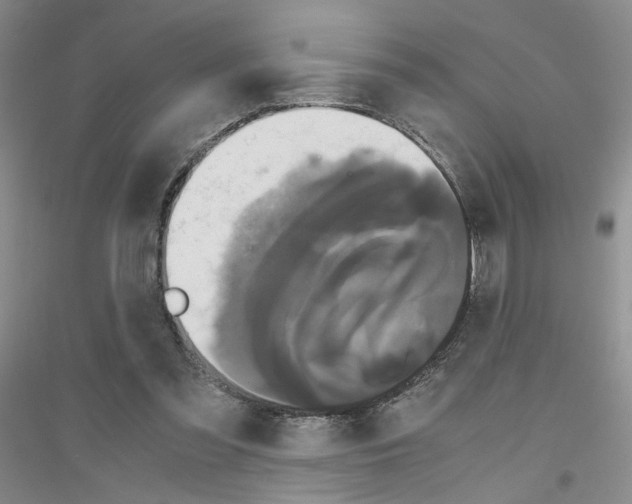 X0000116780301201001281700