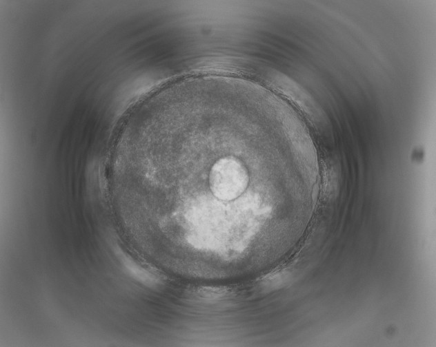 X0000116780302201001281700