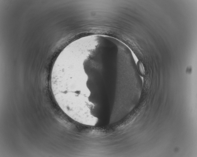 X0000116780303201001281700