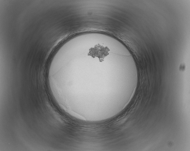 X0000116780304201001281659