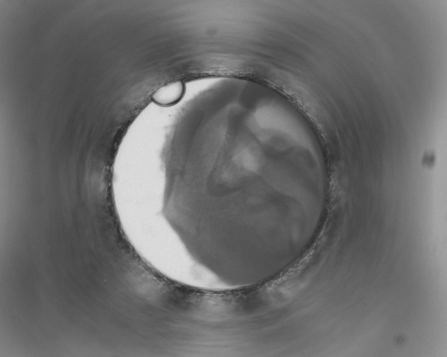 X0000116780305201001281659