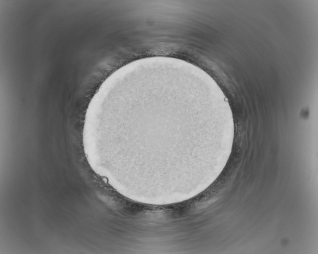 X0000116780307201001281659