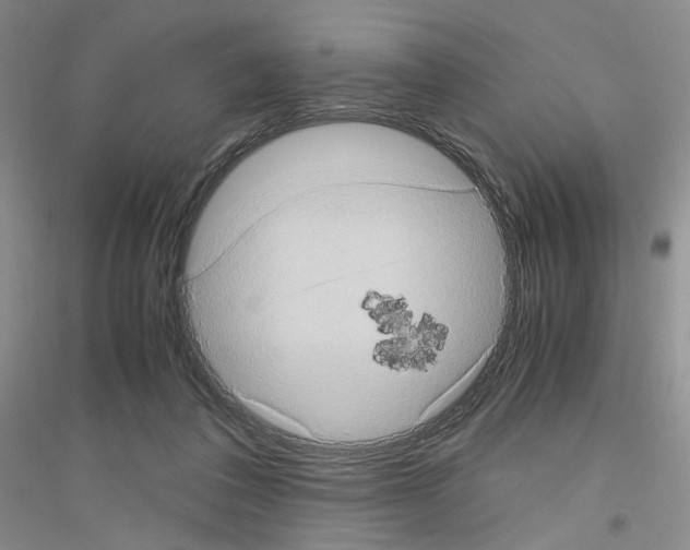 X0000116780308201001281659