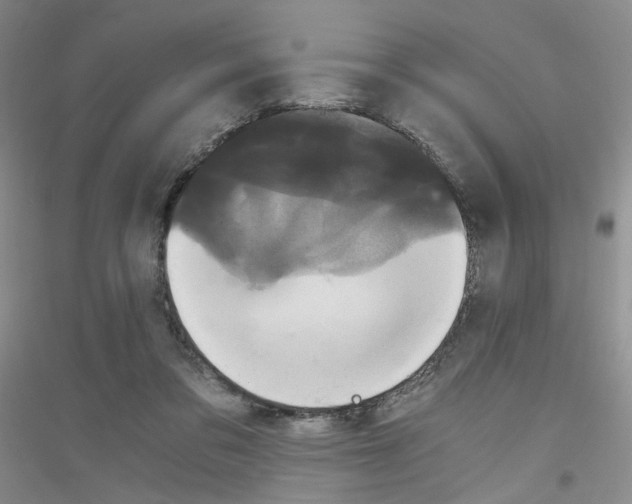 X0000116780309201001281659