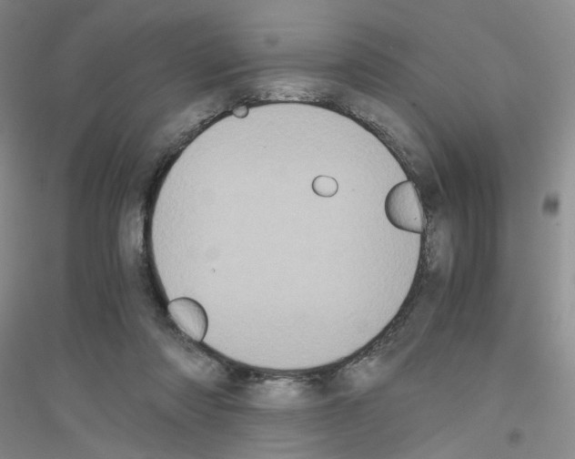 X0000116780310201001281659