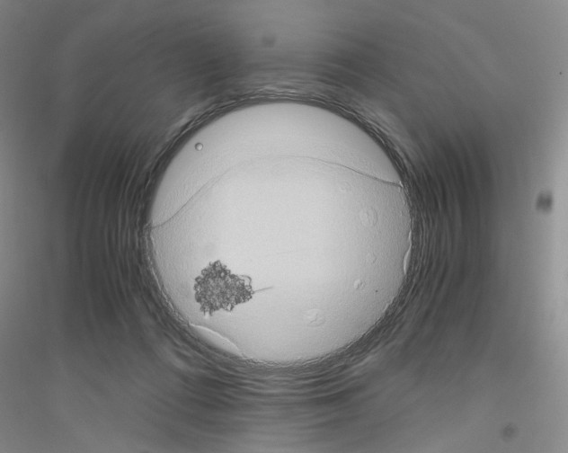 X0000116780312201001281659