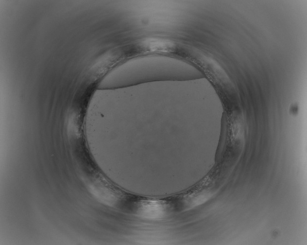 X0000116780316201001281659