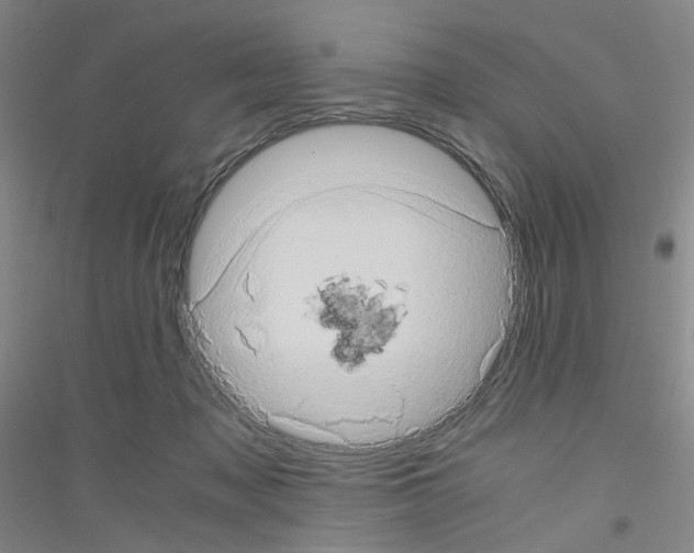 X0000116780317201001281659