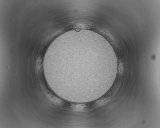 X0000116780318201001281659