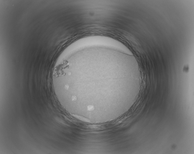 X0000116780320201001281659