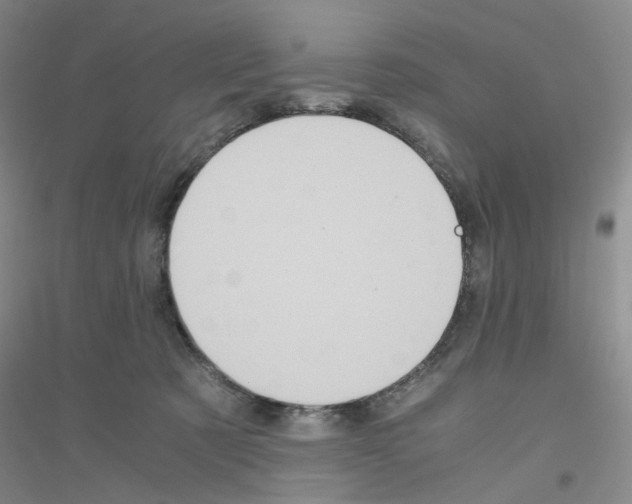 X0000116780321201001281659