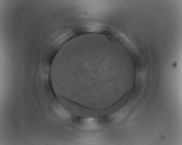 X0000116780325201001281659