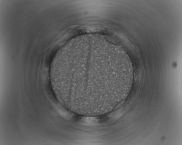 X0000116780327201001281659