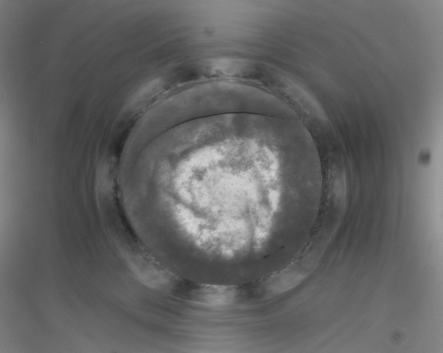 X0000116780328201001281659