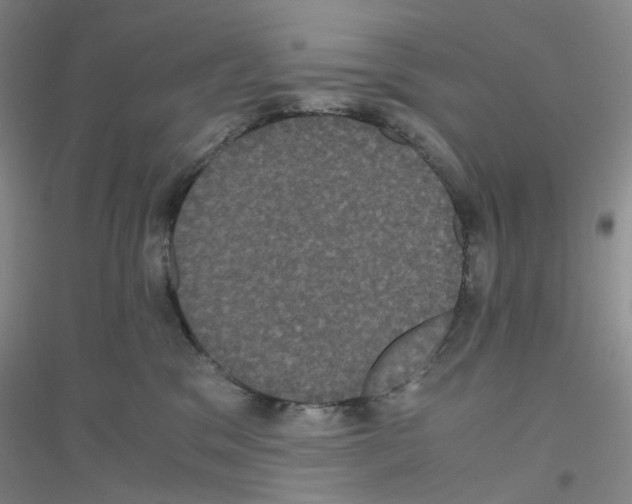 X0000116780329201001281659