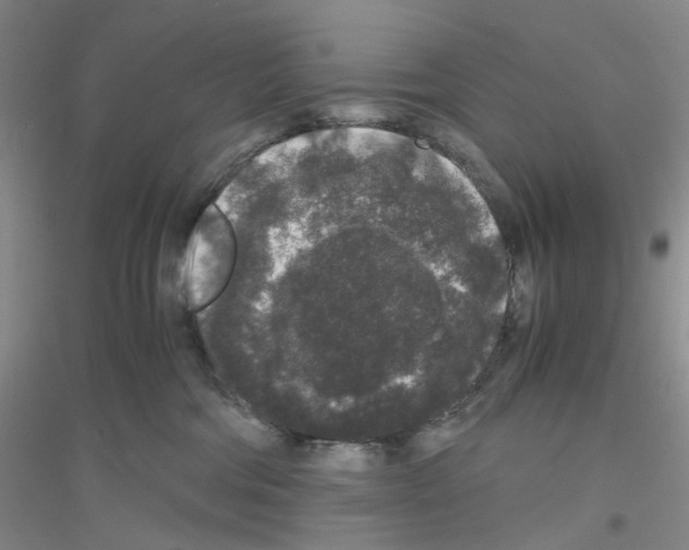 X0000116780330201001281659