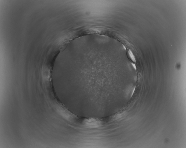 X0000116780331201001281659