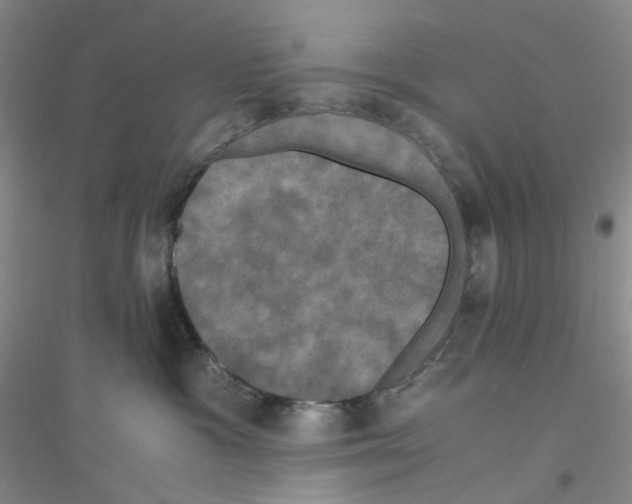 X0000116780333201001281659