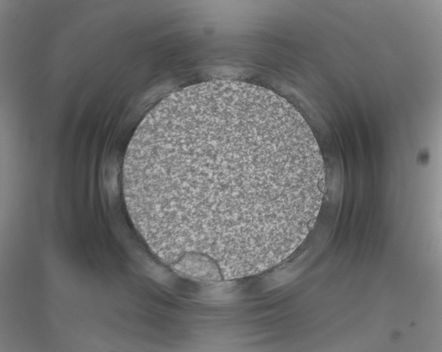 X0000116780334201001281659