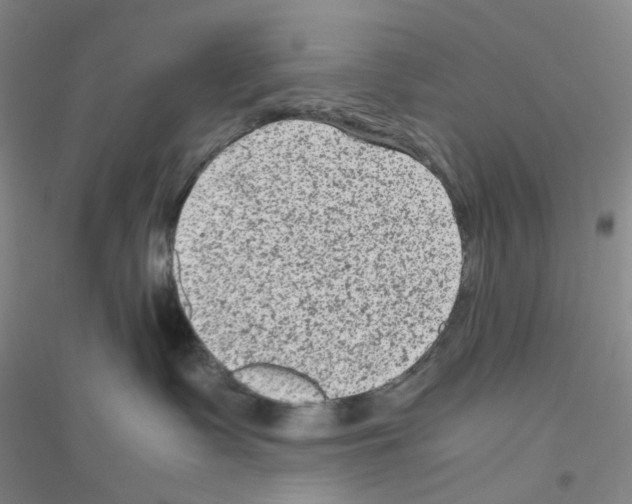 X0000116780335201001281659