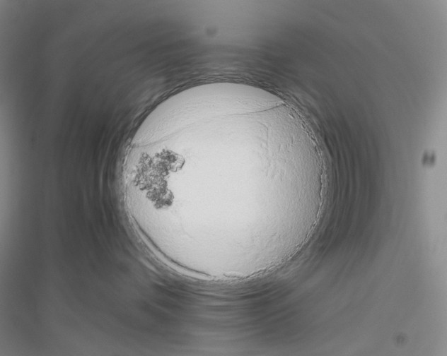 X0000116780336201001281659