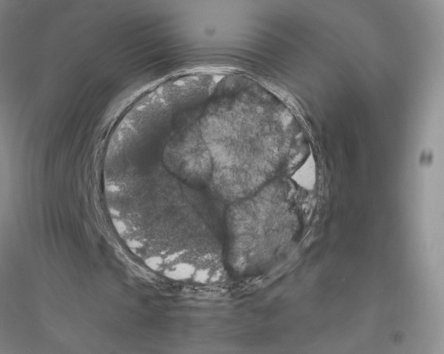 X0000116780337201001281658