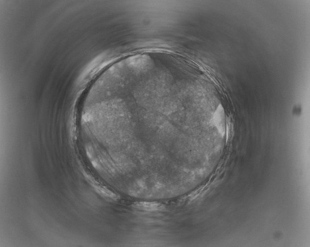 X0000116780339201001281658