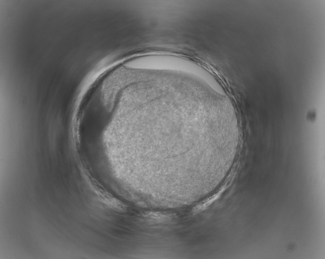 X0000116780343201001281658