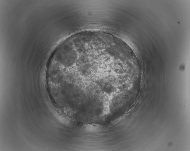 X0000116780346201001281659